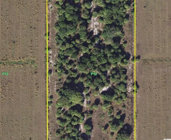 The middle of the property.