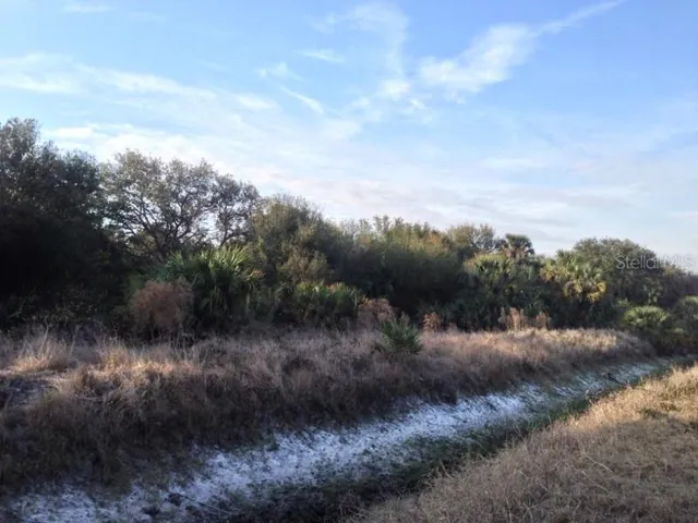 Seepage and draininag on the East side of the 10 acres.