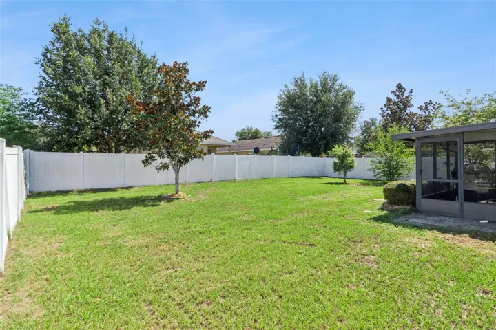 BACK YARD