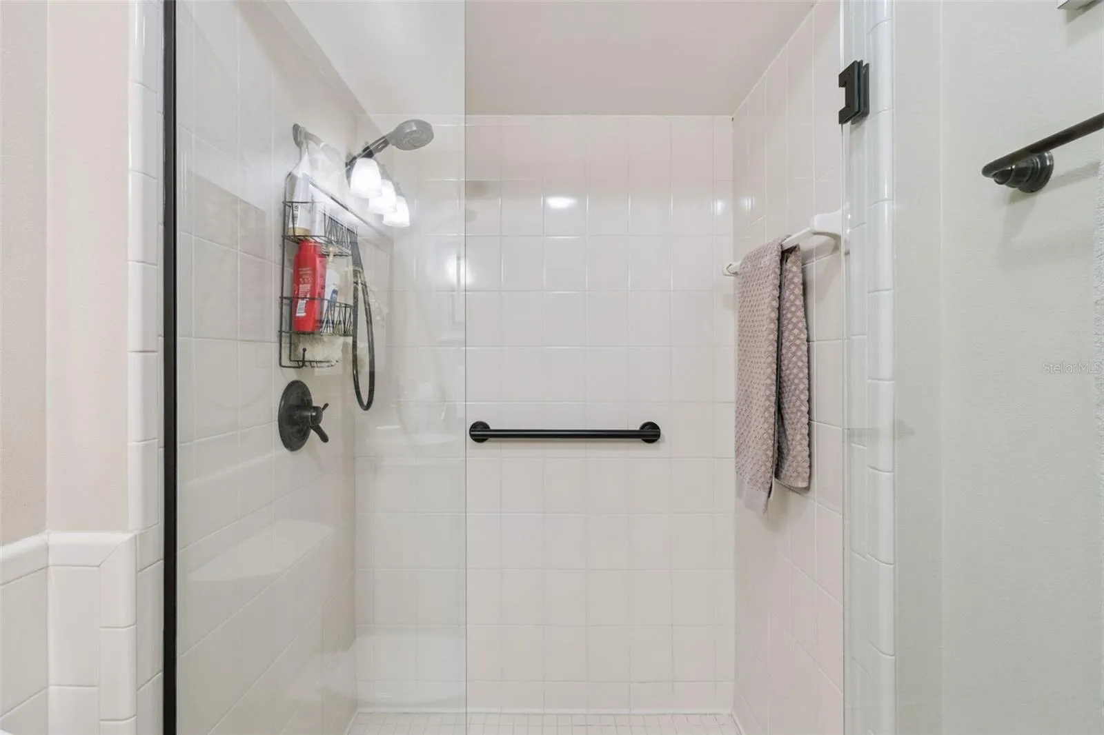 Shower features safety grab bar
