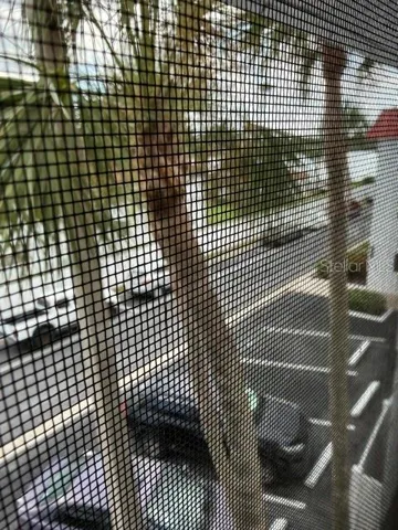 Screen porch