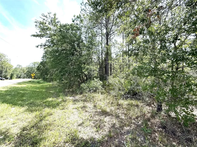 WOODED