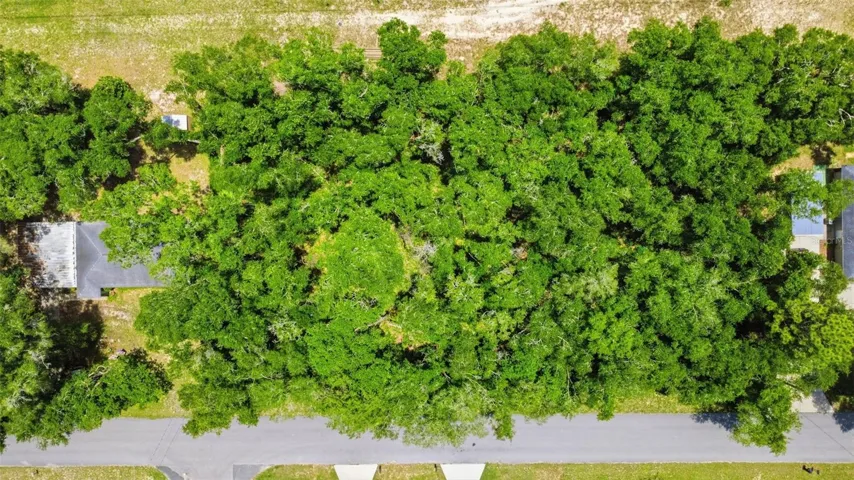 Daytime Drone View