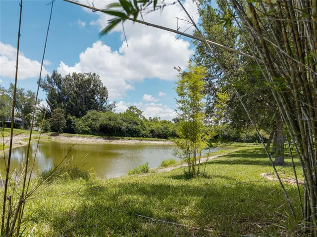 Pond view