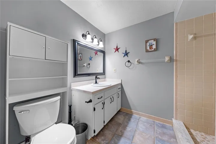 In-Law Suite Bathroom