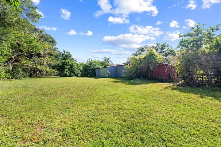 Back Pasture