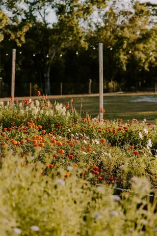 Flower Bed Gardens