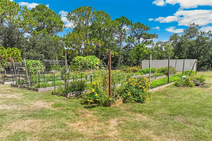 Backyard Raised Flower Beds - 5 Rows 4'x70'