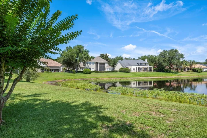 Large backyard