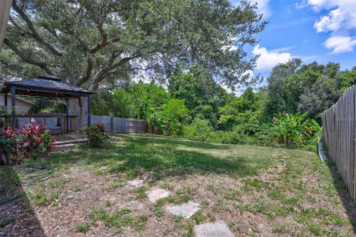 Spacious Backyard