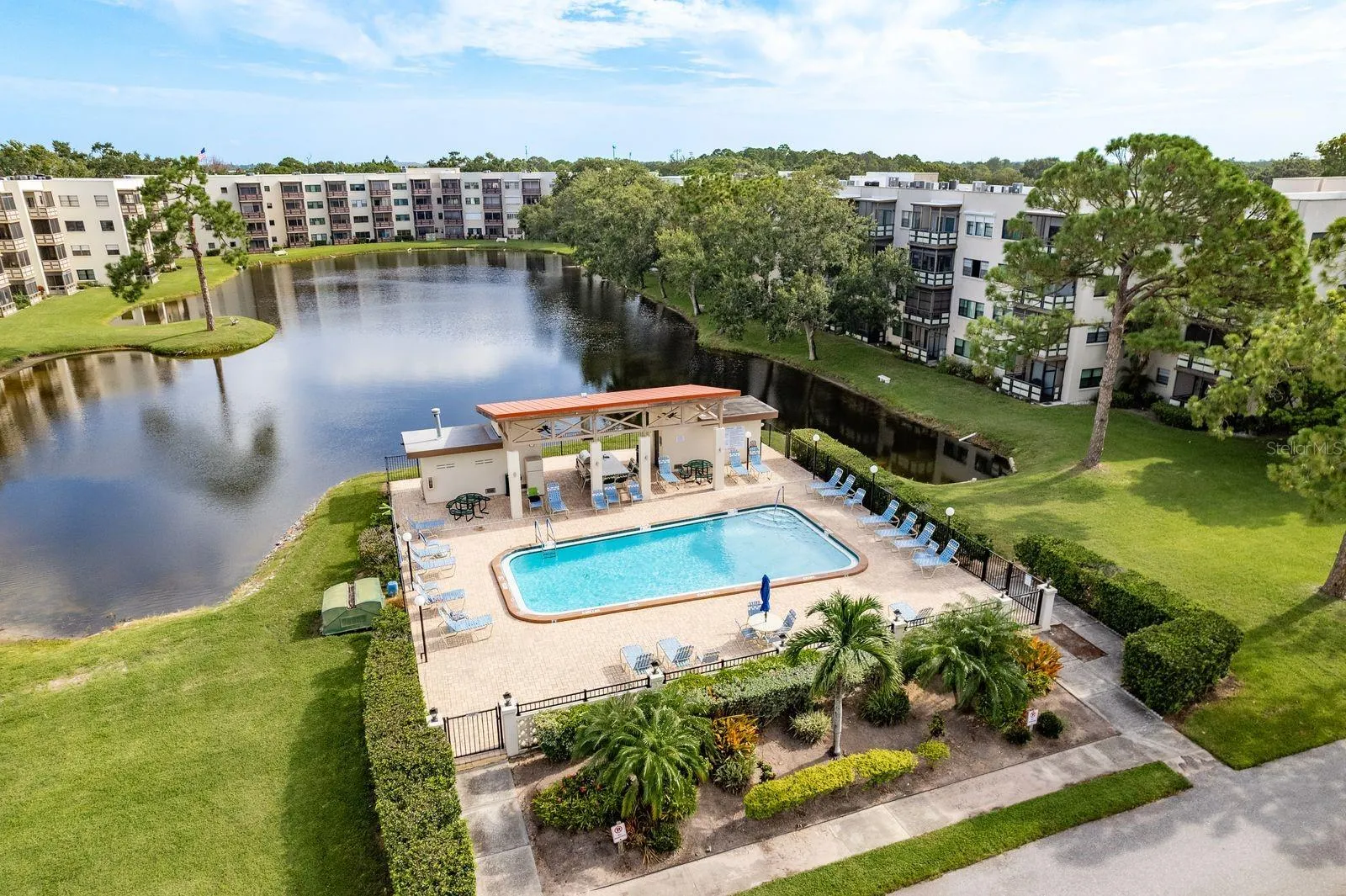 Madison pool and pond