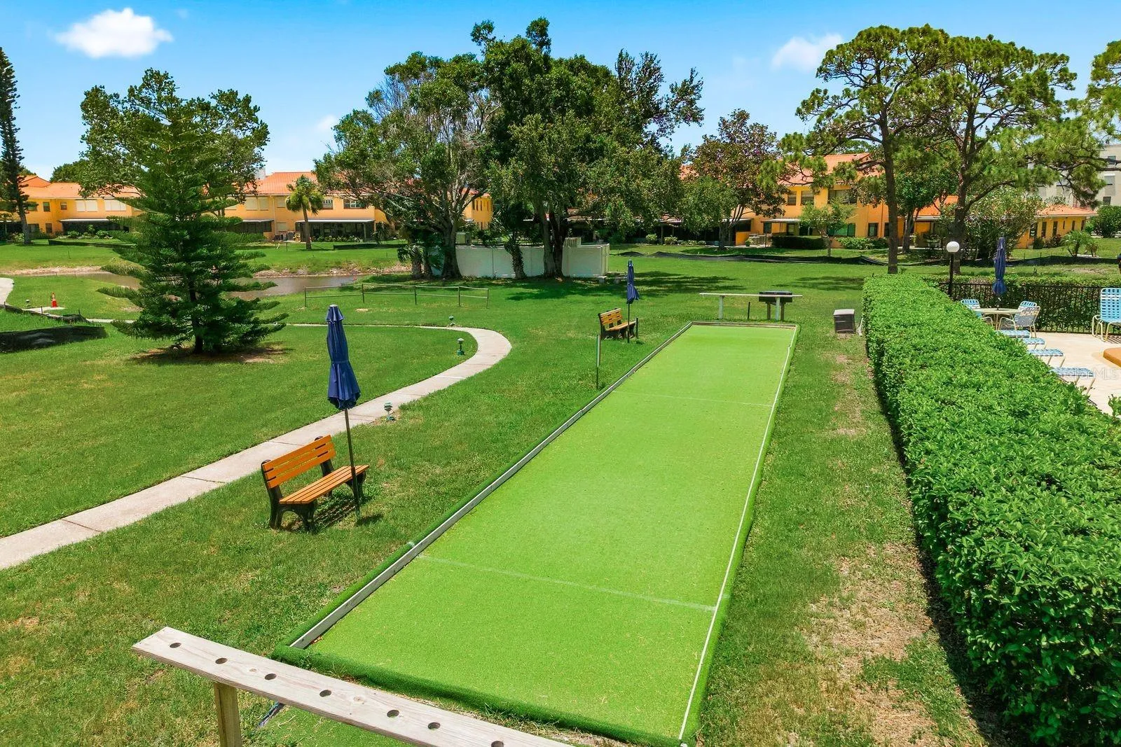 Sport anyone?
