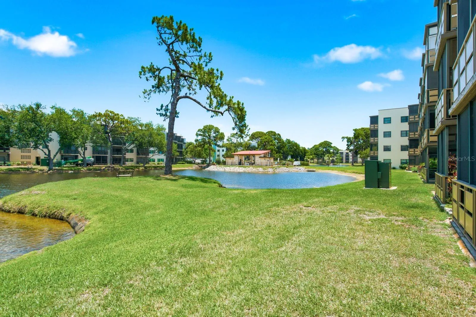 Plenty of green space