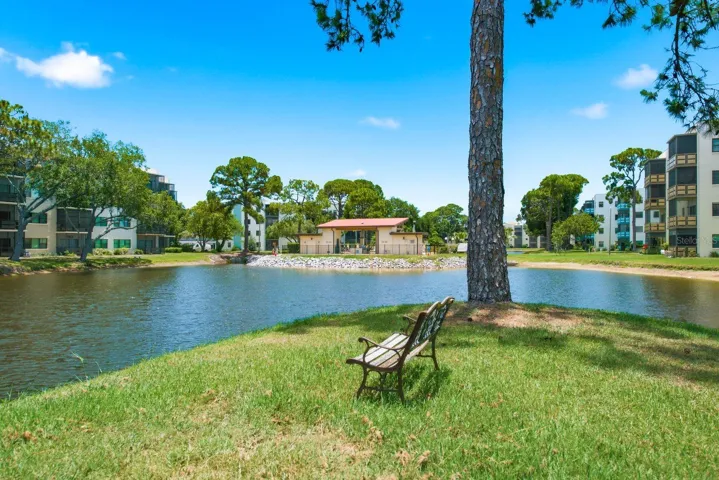 Beautiful pond view
