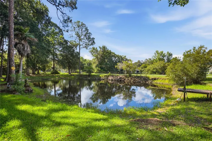 Pond view