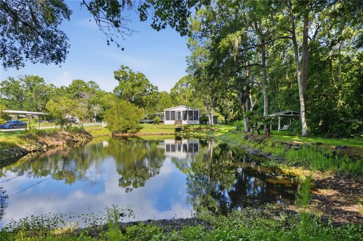 Pond view
