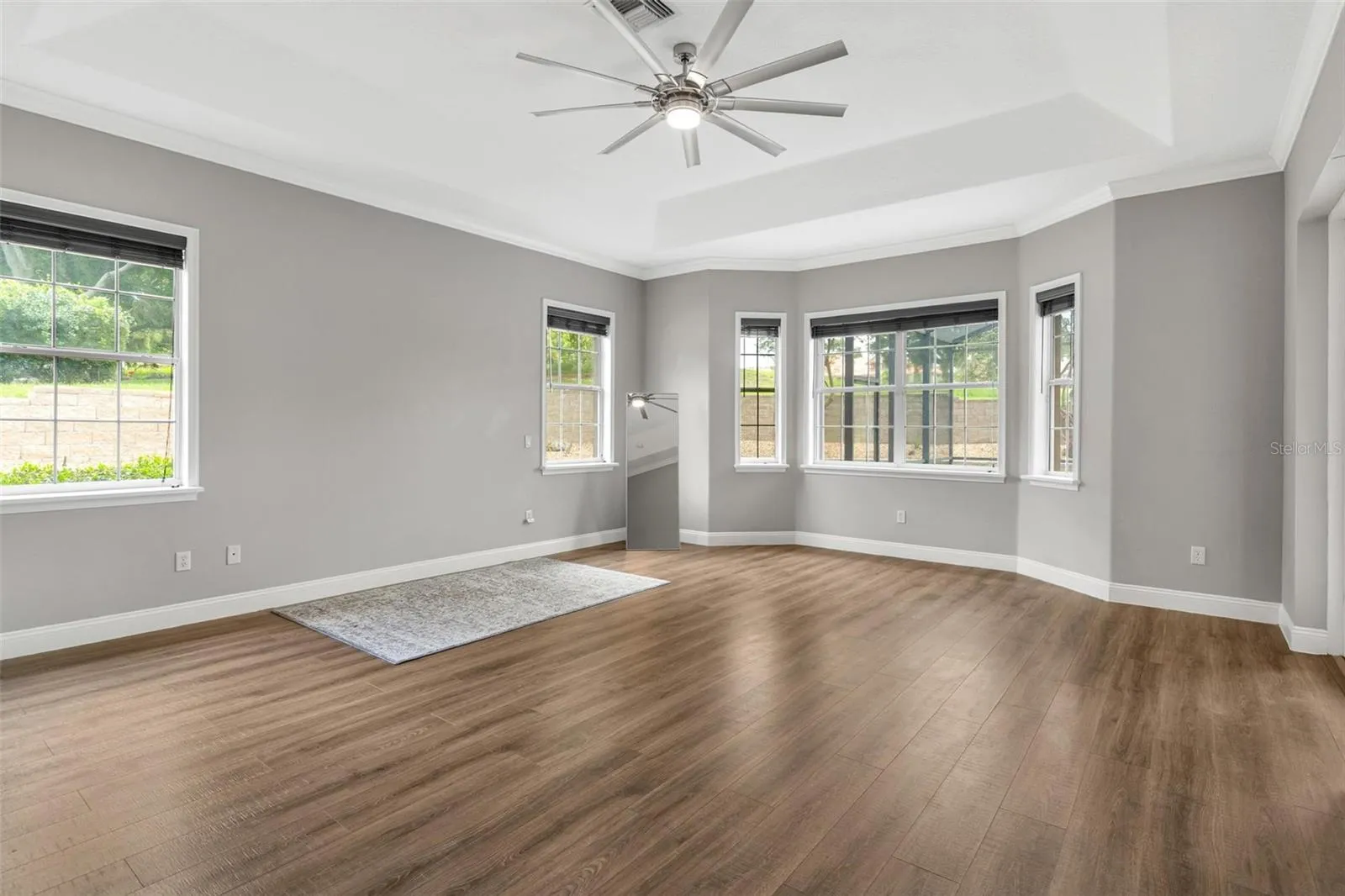 Primary Bedroom with Tray Ceilings