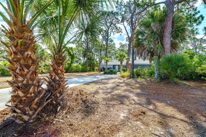Natural FL front yard