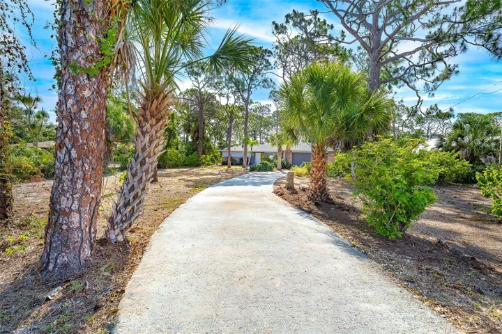 Winding estate driveway