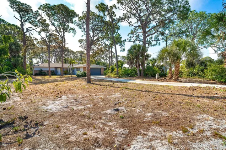 Spacious natural front yard