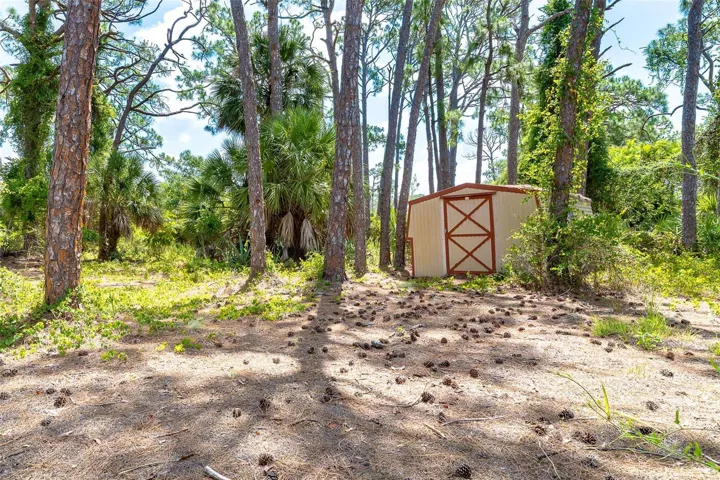 Yard with a shed