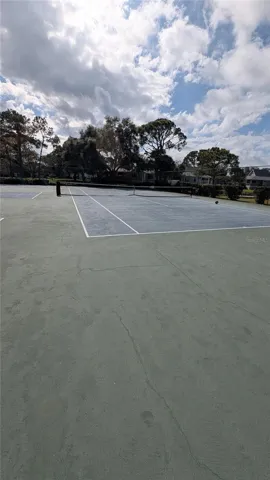 Tennis/Pickleball courts!