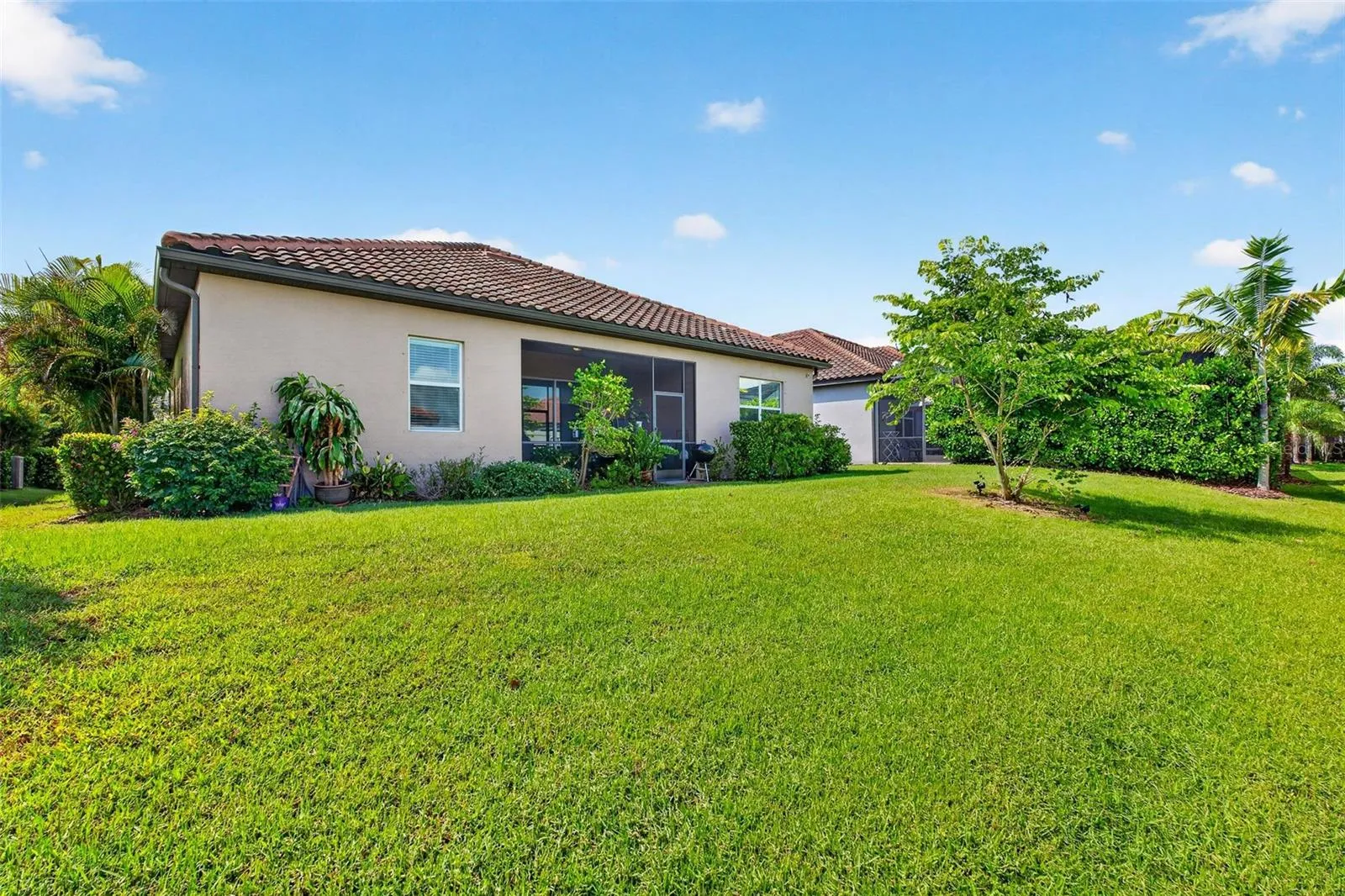 Backyard Lush Landscape