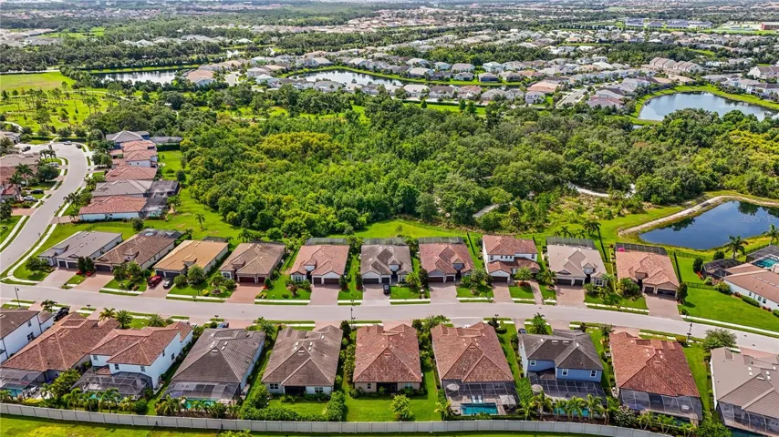 Aerial View alternate