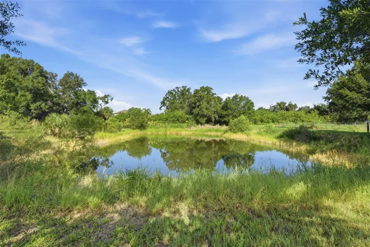 POND