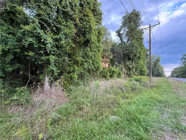 SR 345 Looking South