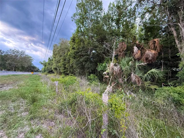 SR 345 looking North