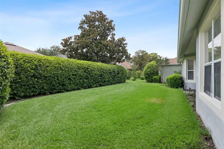 View of the spacious backyard w/ mature privacy hedge