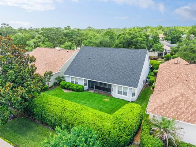 Aerial view of the backyard w/ a mature privacy hedge