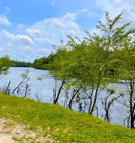 Beautiful Suwannee River
