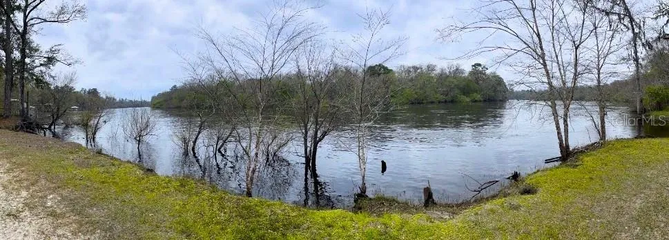 Full view of the river bend from the river bank.
