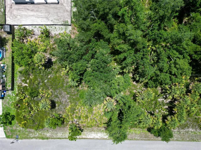 Overhead View