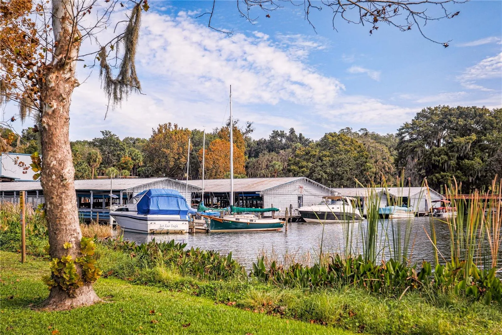 Downtown Mount Dora