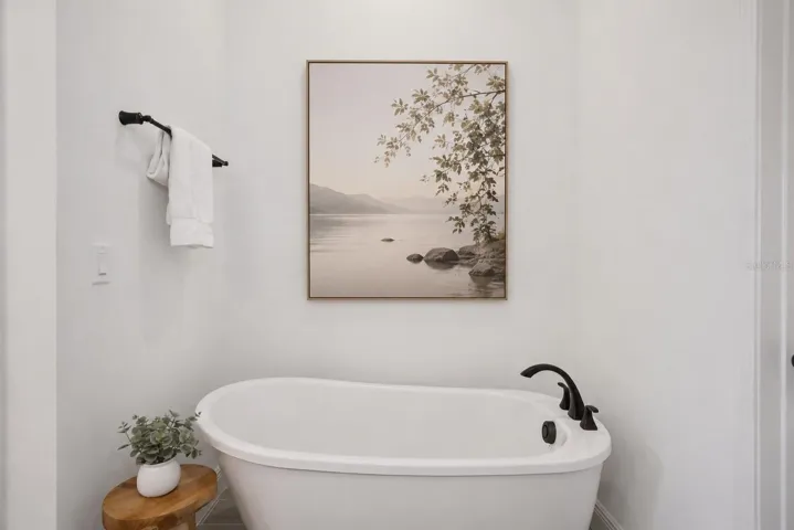 1st Floor Primary Bathroom Tub