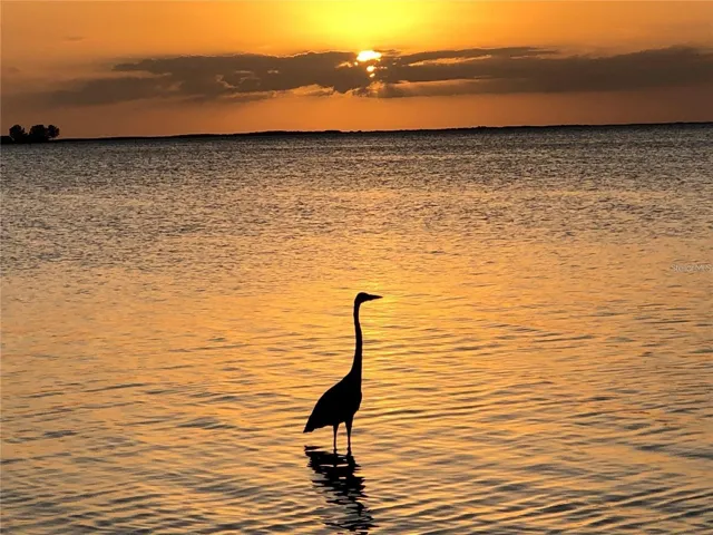Beautiful Crystal Beach-in walking distance from the home
