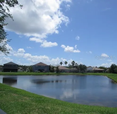 Pond view