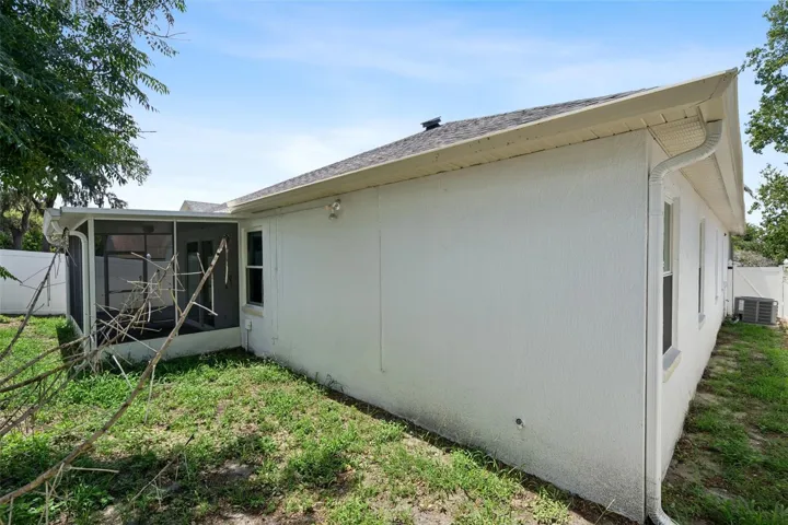 Back yard