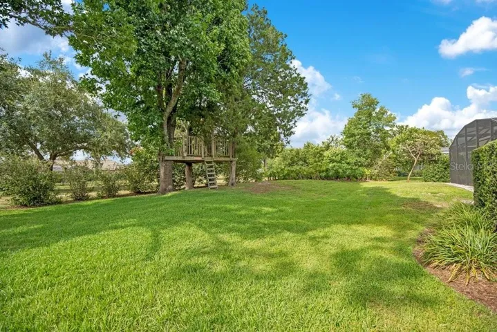Treehouse