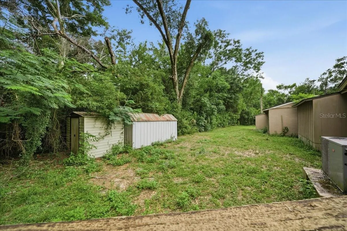 Back Yard