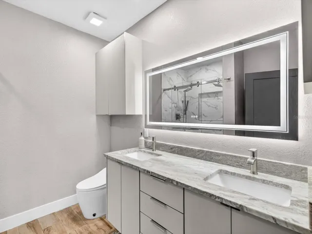 Natural Quartzite bath vanity top, + bidet toilet