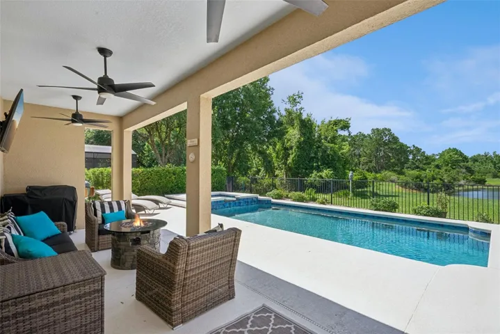 Backyard Oasis