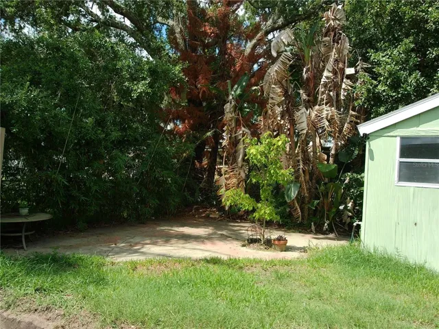 More backyard Patio Space