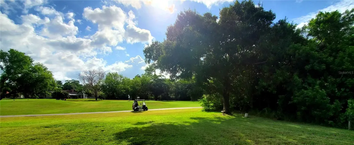 South Fairway East Lake Woodlands 9th Tee