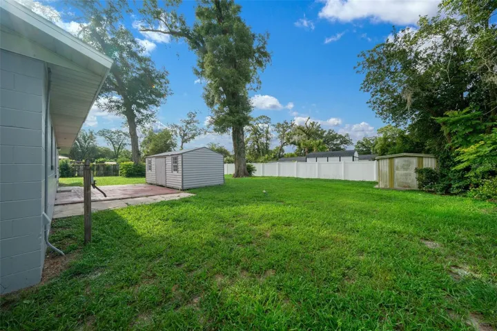 Back yard