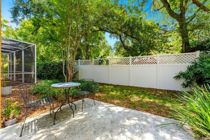back yard