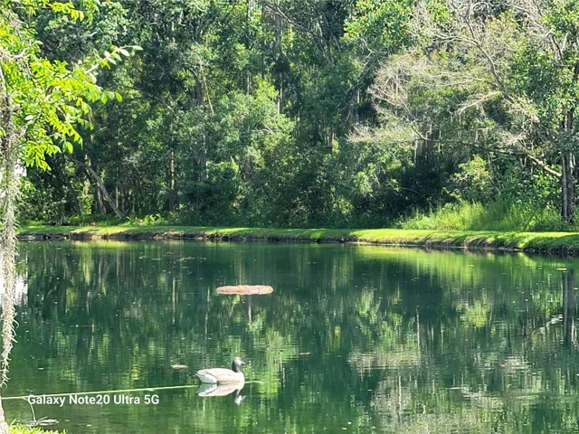 View of Serene Ponds throughout Wooded Community